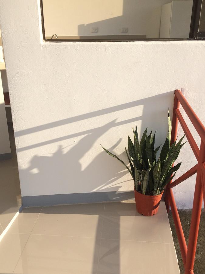 A True B&B Quepos Eksteriør bilde